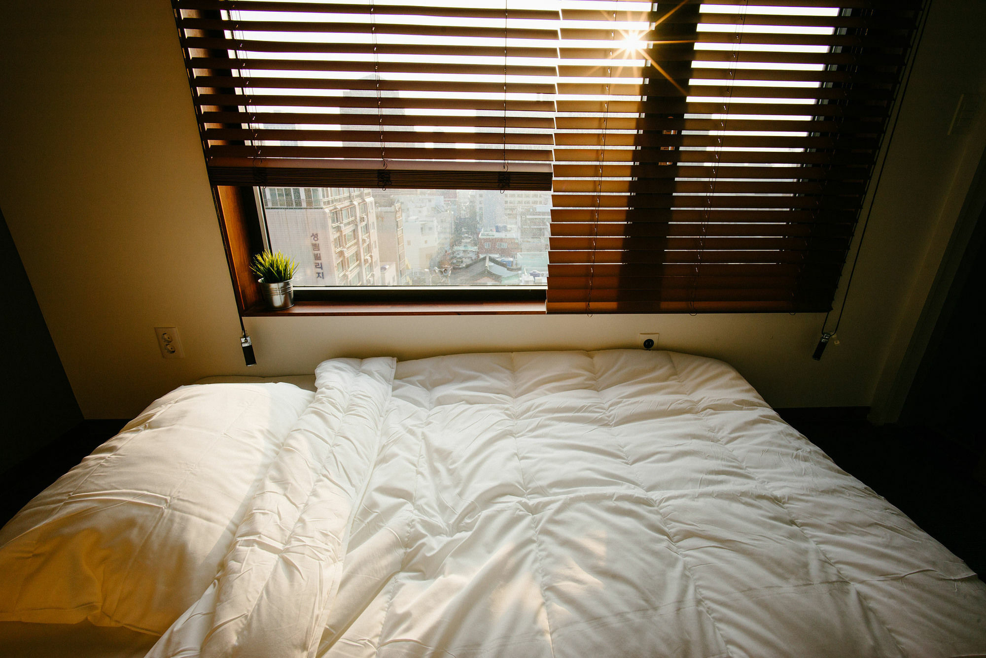 Morning Dew Guesthouse Μπουσάν Εξωτερικό φωτογραφία